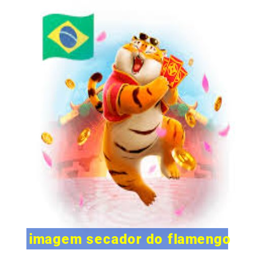 imagem secador do flamengo